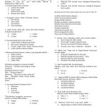 7 Rahasia Lolos Ujian dengan Contoh Soal HOTS Bahasa Indonesia Kelas 6 KD 3.1 Terbaru 2026