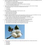 Bocoran 10 Soal Prakarya Kelas 7 Semester 1 Kerajinan Serat yang Sering Keluar Saat Ujian Bocoran 10 Soal Prakarya Kelas 7 Semester 1 Kerajinan Serat yang Sering Keluar Saat Ujian