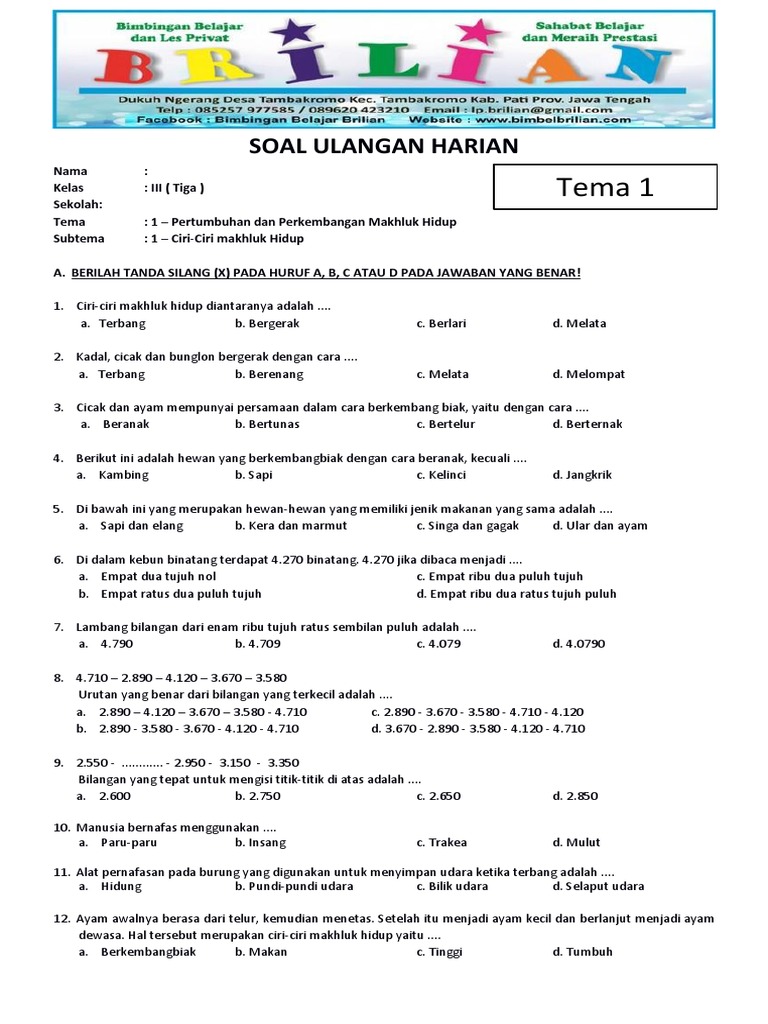 5 Fakta Mengejutkan dari Bang Soal K13 Kelas 3 yang Wajib Guru Tahu Sebelum Terlambat