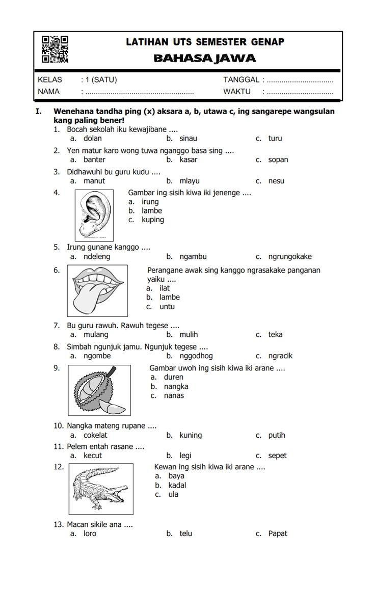Latihan Soal Bahasa Indonesia Kelas 1 SD