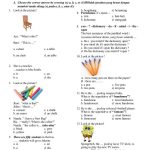 Ternyata Ini Rahasia Fajar Fathurrahman: Bukan Cuma Jago Main Bola, Juga Kuasai Bahasa Inggris Level 3 Soal Kelas 5 SD