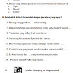 Wajib Tahu! 10 Soal Essay IPA Bab 1 Kelas 7 Kurikulum 2013 yang Sering Muncul di Ujian 2026