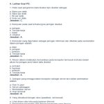 10 Soal TIK Kelas 9 Semester 1 yang Sering Muncul di Ujian, Wajib Kamu Kuasai Sebelum Terlambat