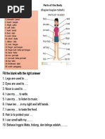 Terbukti! 5 Latihan Soal Parts of the Body Kelas 4 dengan Contoh Segitiga Sama Kaki