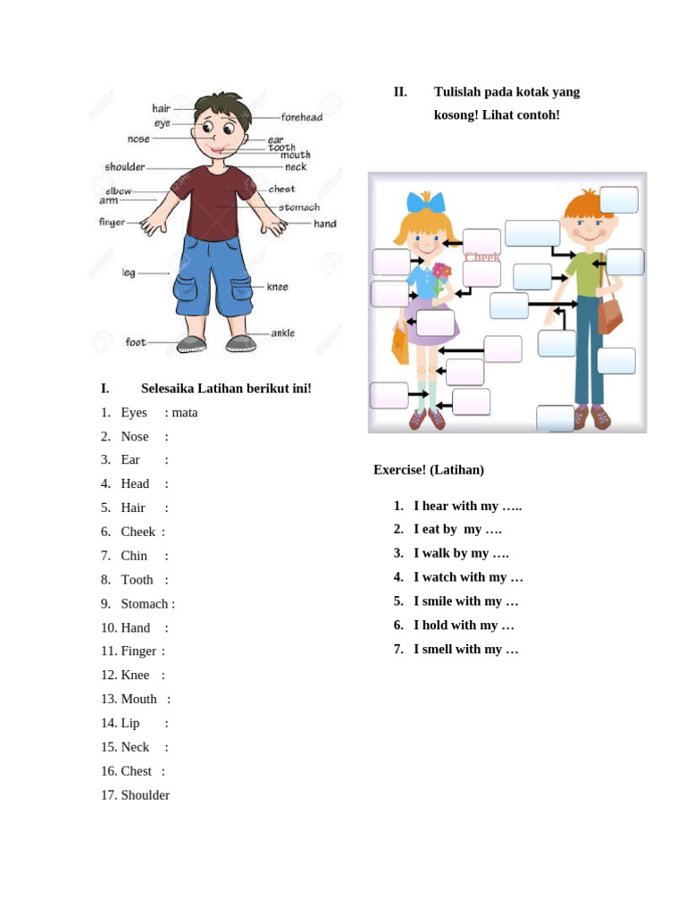 Terbukti Efektif! 7 Latihan Soal Parts of the Body Kelas 4 SD yang Wajib Dikuasai Sekarang