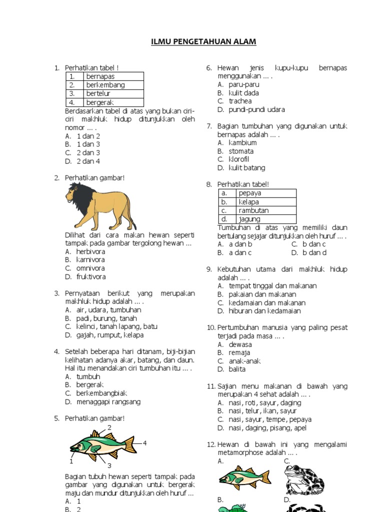 Bocoran Soal Soal UAS Semester 1 IPA Kelas 3 SD Terbukti Akurat dan Wajib Tahu Bocoran Soal Soal UAS Semester 1 IPA Kelas 3 SD Terbukti Akurat dan Wajib Tahu